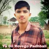 About Ya Dil Rovego Padhbali Song